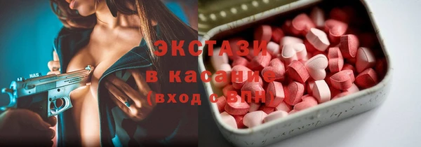 индика Протвино