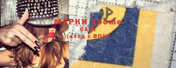 индика Протвино