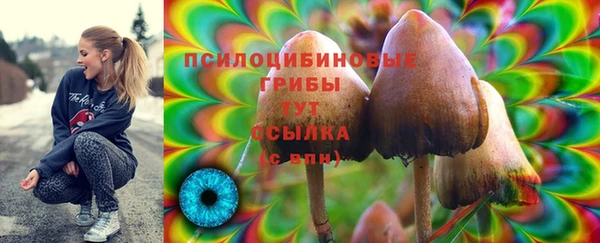 тгк Пролетарск
