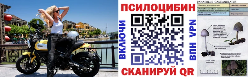 Галлюциногенные грибы GOLDEN TEACHER  Анадырь 